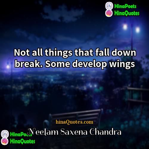 Neelam Saxena Chandra Quotes | Not all things that fall down break.